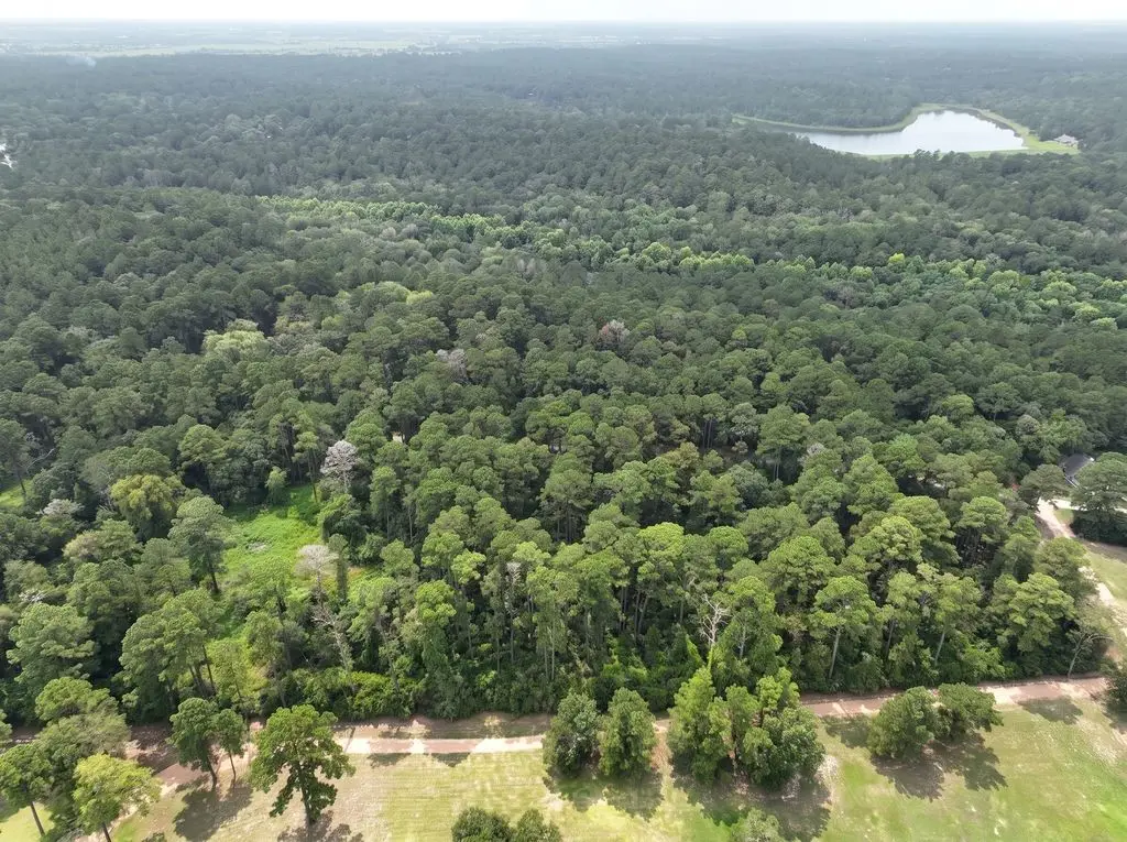 Lot Four, 3340 County Road 325, Navasota, TX 77868 - #1