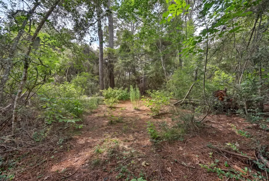 Lot Four, 3340 County Road 325, Navasota, TX 77868 - #2