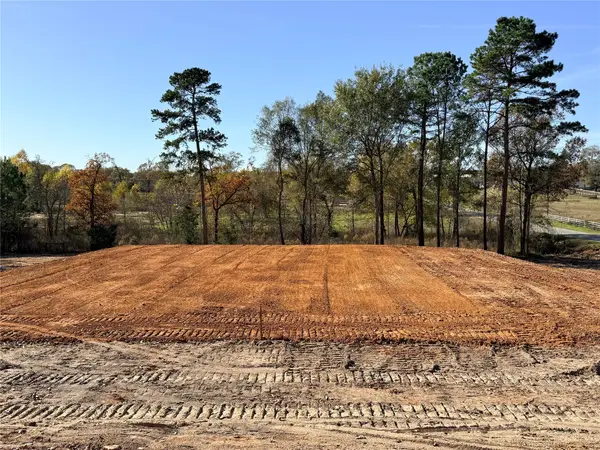 10118 County Road 302, Plantersville, TX 77363