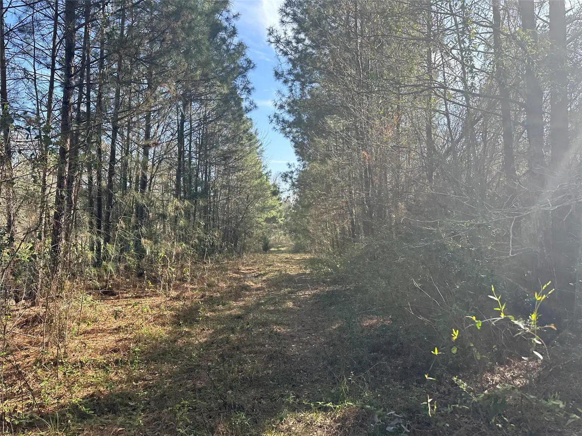 TBD Road 3813, Cleveland, TX 77328 - Image #1