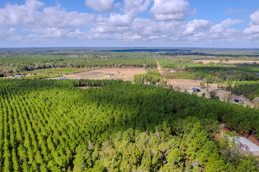 LOT 6 Fm 943, Livingston, TX 77351 - Image #2