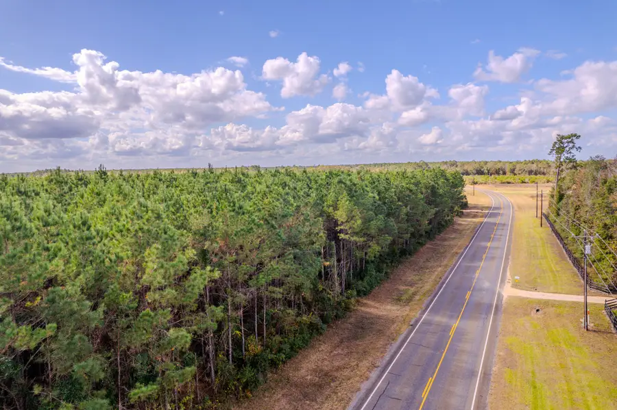 LOT 6 Fm 943, Livingston, TX 77351 - Image #3