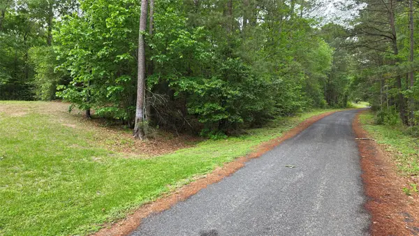 TBD Heron Lane, Coldspring, TX 77331