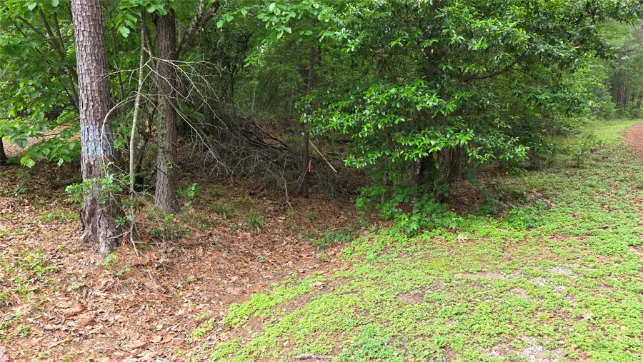 TBD Heron Lane, Coldspring, TX 77331 - #2