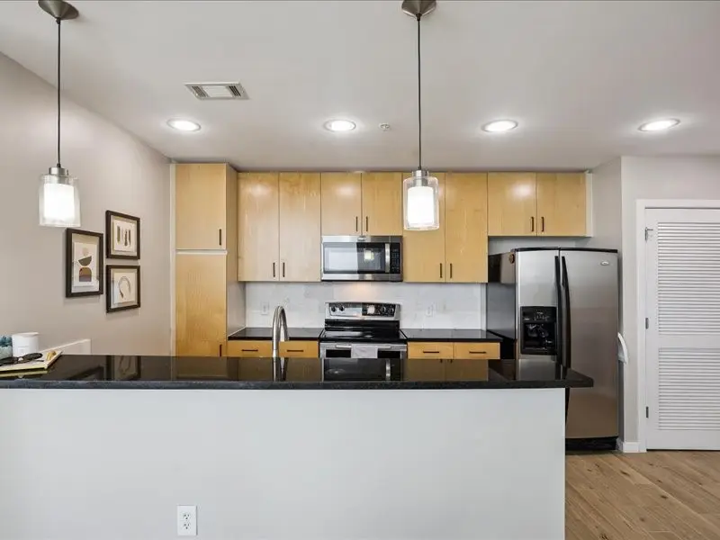 5925 Almeda Road #12202, Houston, TX 77004 - #2