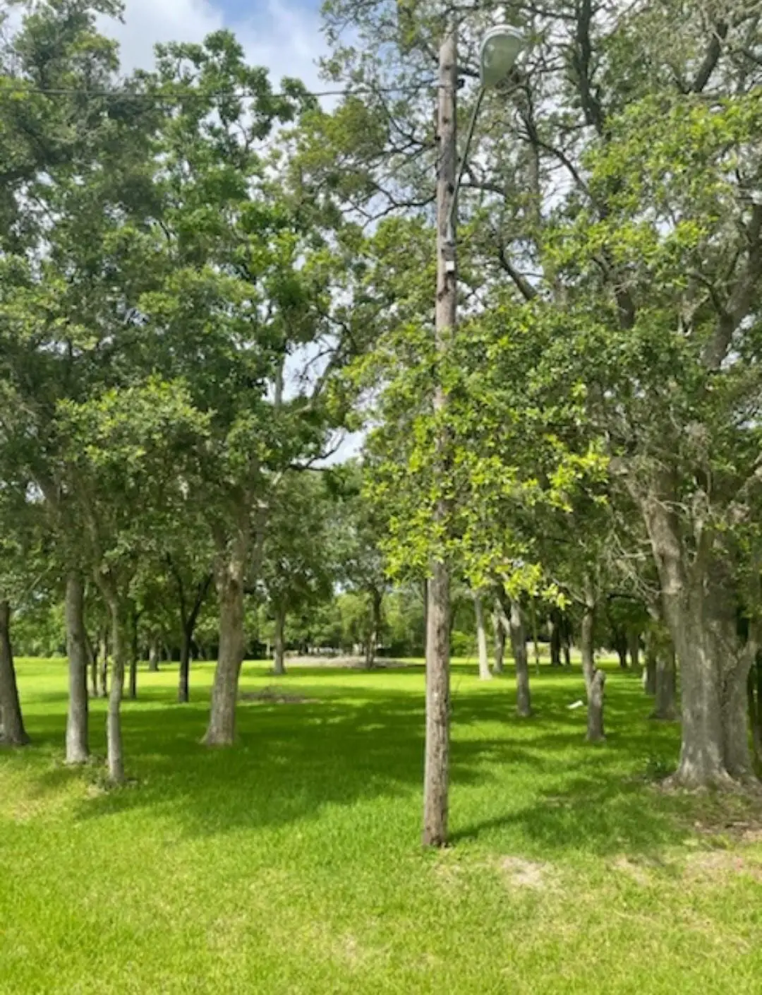 2702 Lake Road, La Marque, TX 77568 - #1