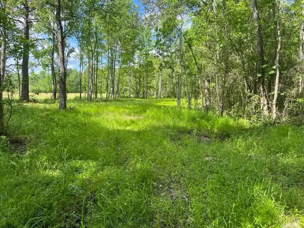 TBD Fm 770 Road, Batson, TX 77519