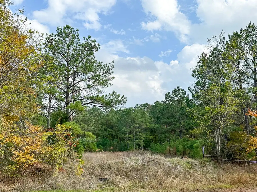 00 Cr 2115, Hughes Springs, TX 75656 - #3