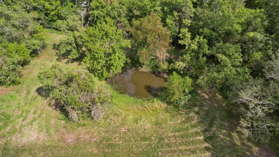 451 Farm Pasture Road, Shepherd, TX 77371 - #3