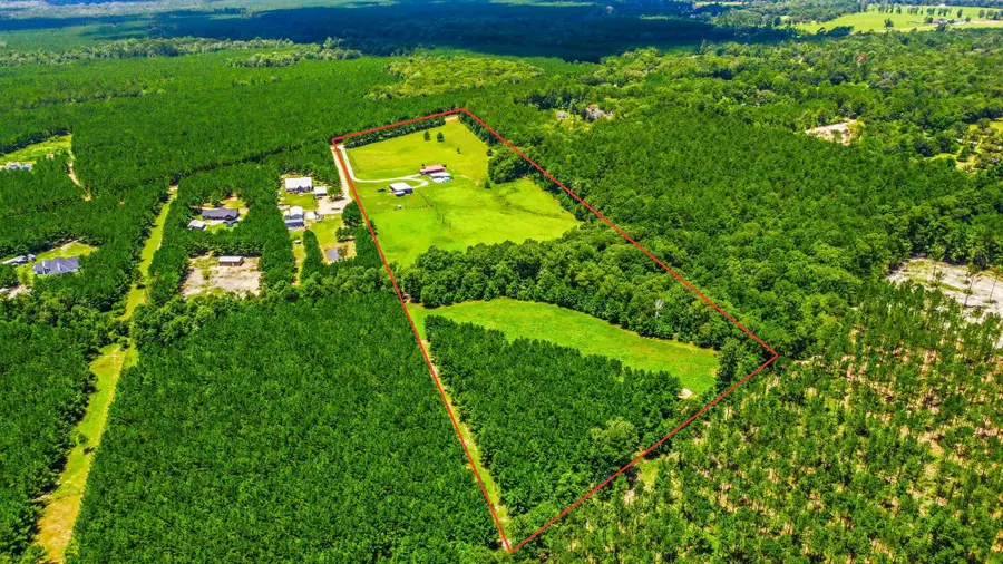 671 Tram Road, Livingston, TX 77351 - #3