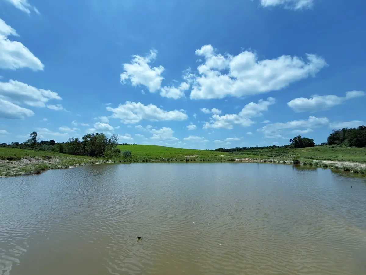143 ac Cr 236, Oakwood, TX 75855 - #1