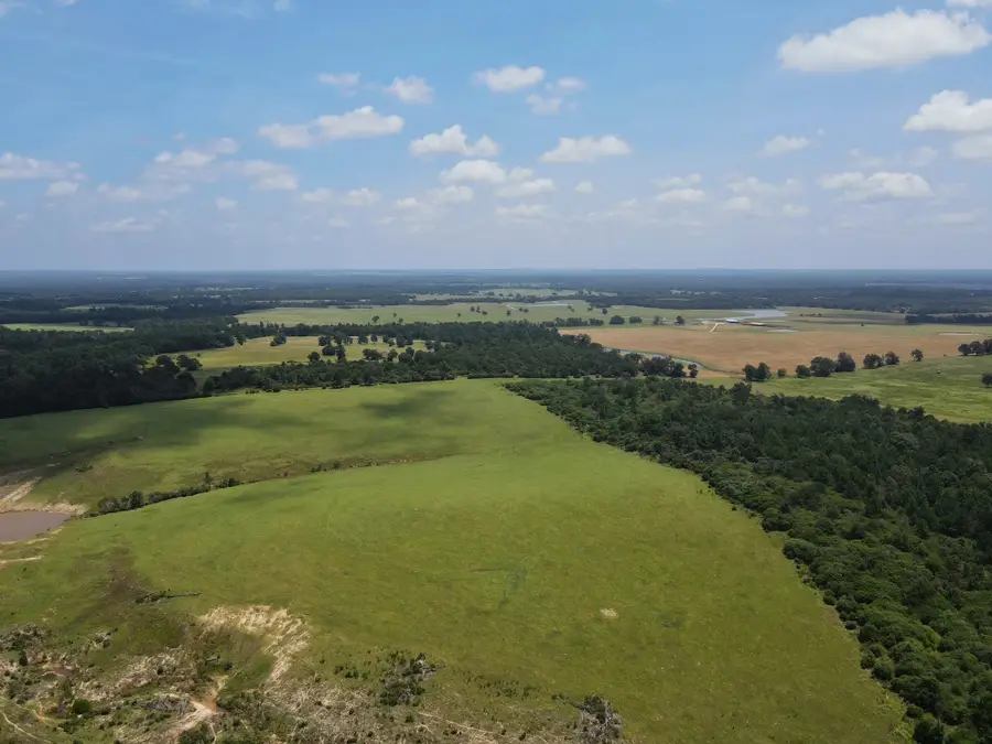143 ac Cr 236, Oakwood, TX 75855 - #2