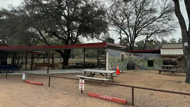 101 County Road 257, Liberty Hill, TX 78642 - #2