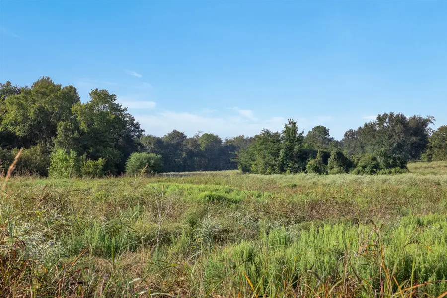 0 Brown College Lane, Washington, TX 77880 - #3