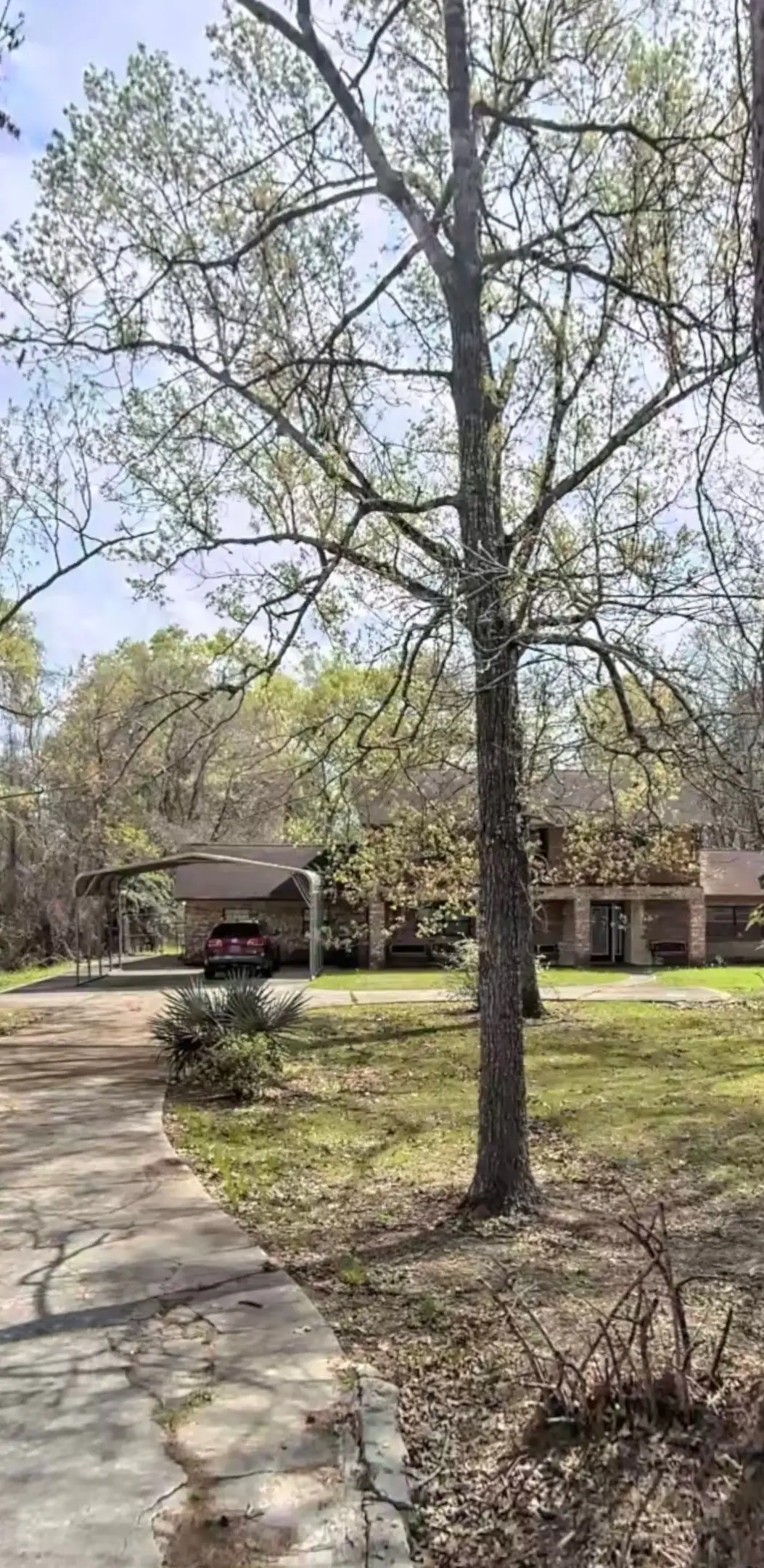 5335 Pine Burr Boulevard, Beaumont, TX 77708 - #1
