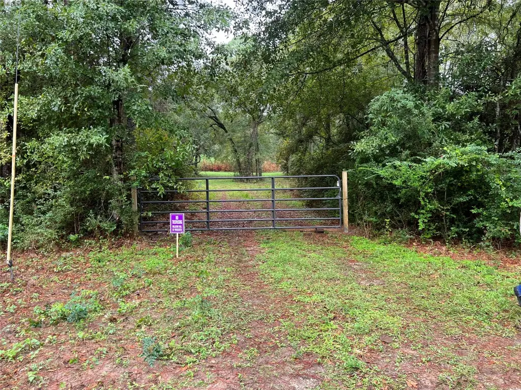 26156 Red Oak Drive, Magnolia, TX 77355 - #1