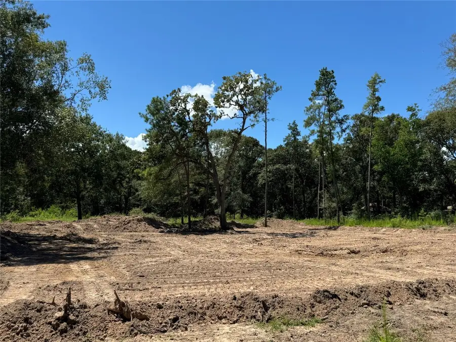 26156 Red Oak Drive, Magnolia, TX 77355 - #3