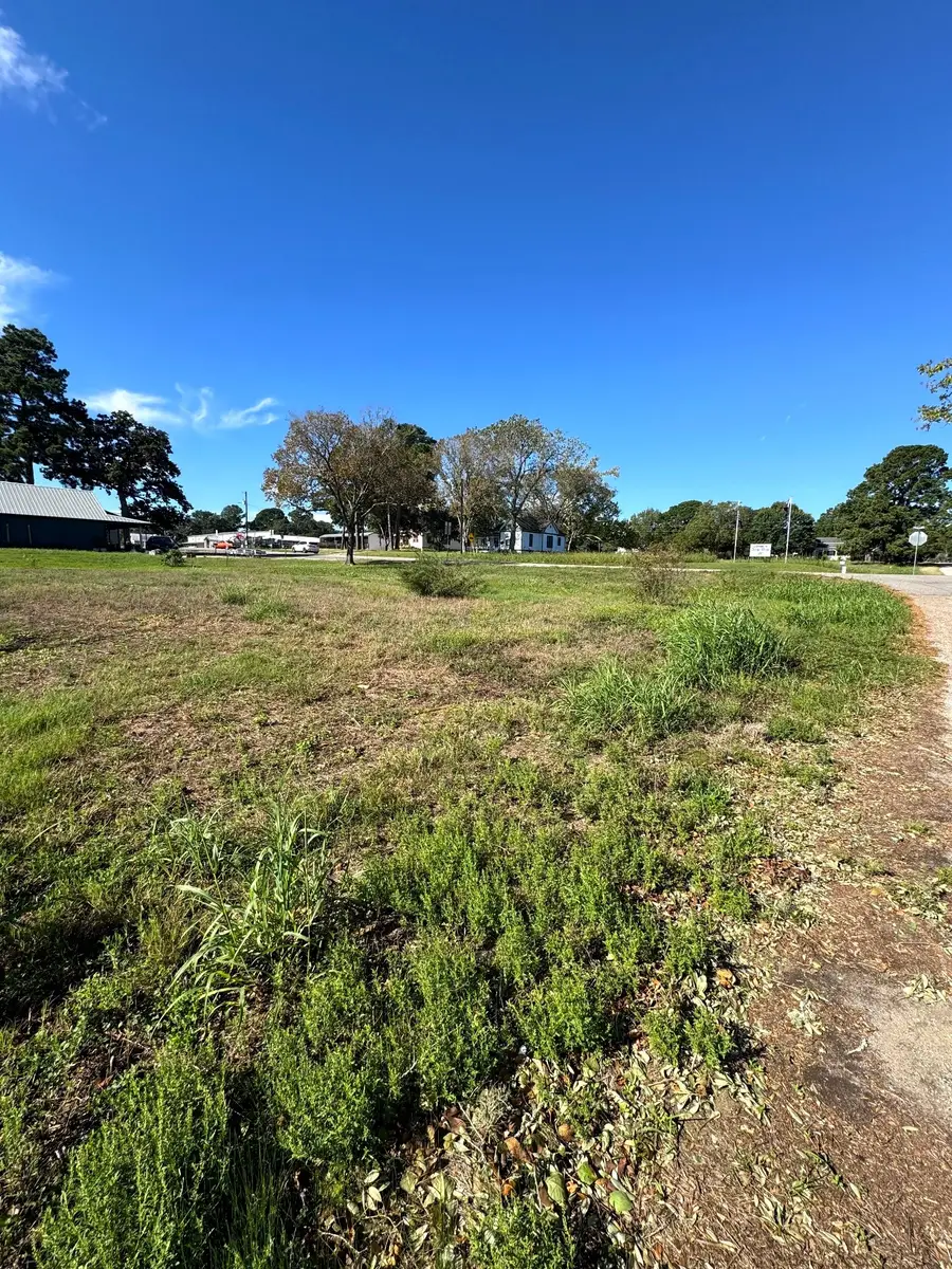 747 Houston, New Ulm, TX 78950 - #2