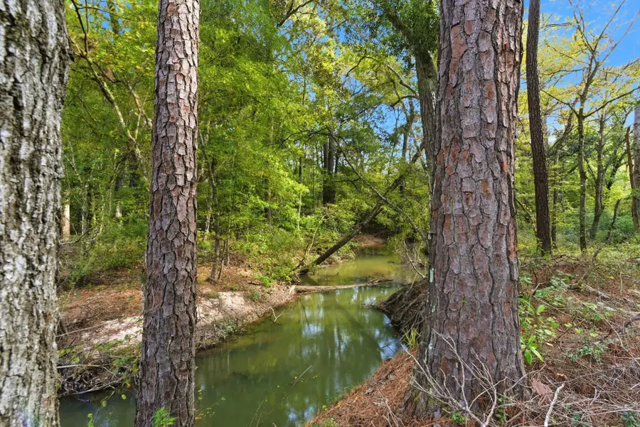 11091 Newton Circle, Conroe, TX 77303 - Image #2