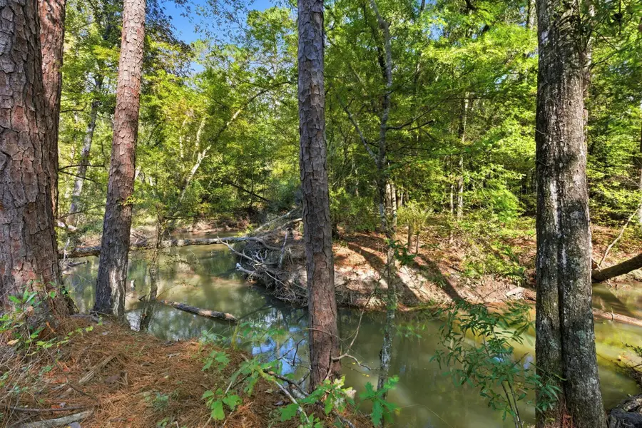 11091 Newton Circle, Conroe, TX 77303 - Image #3