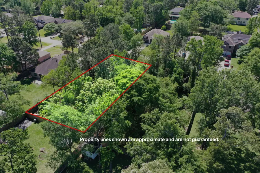 L42 Durango Drive, Magnolia, TX 77354 - #2