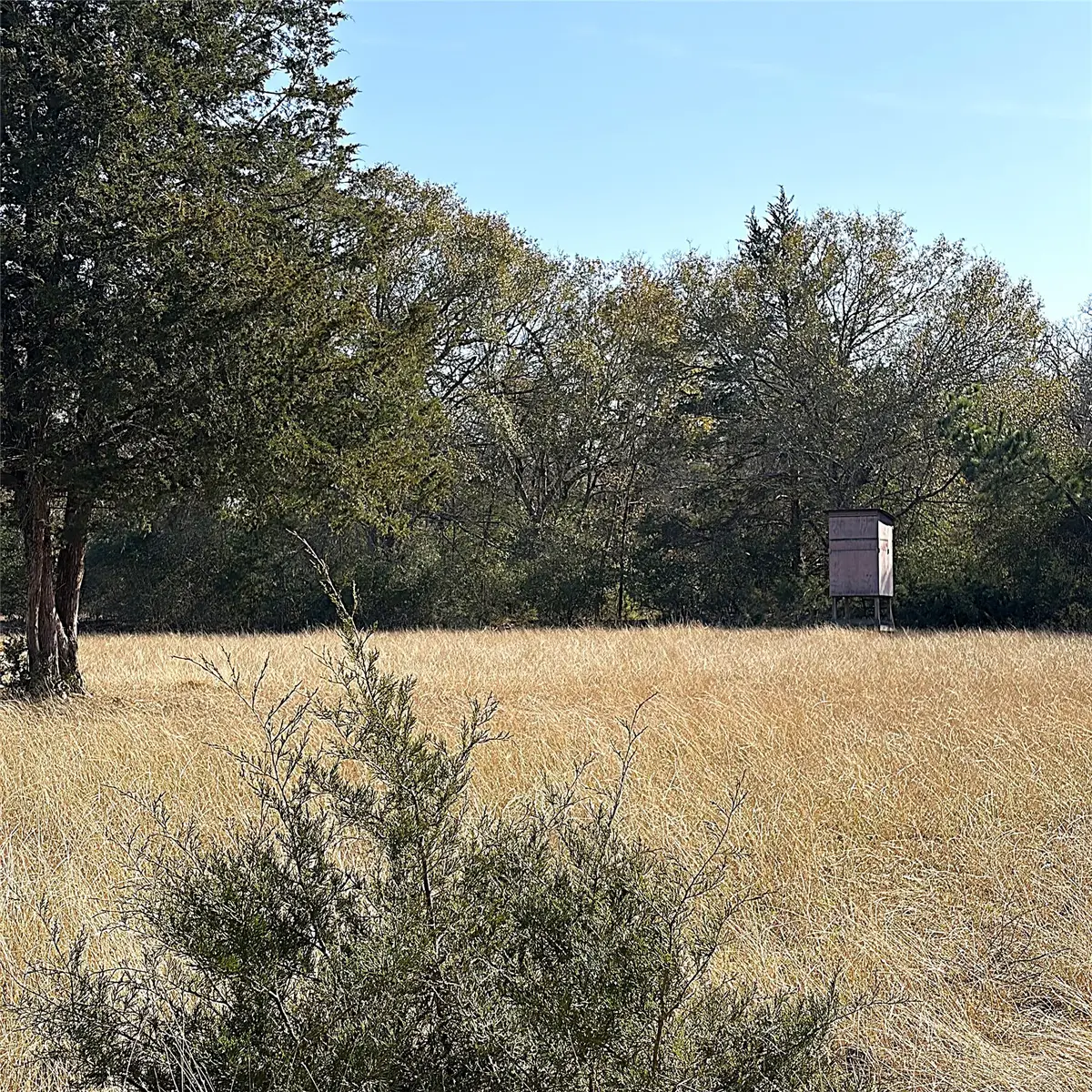 00000 Cr 102, Leona, TX 75850 - #1