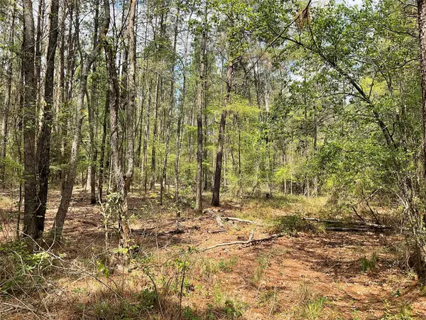 Lot 2B & 2C Fuller Springs Drive, Lufkin, TX 75901
