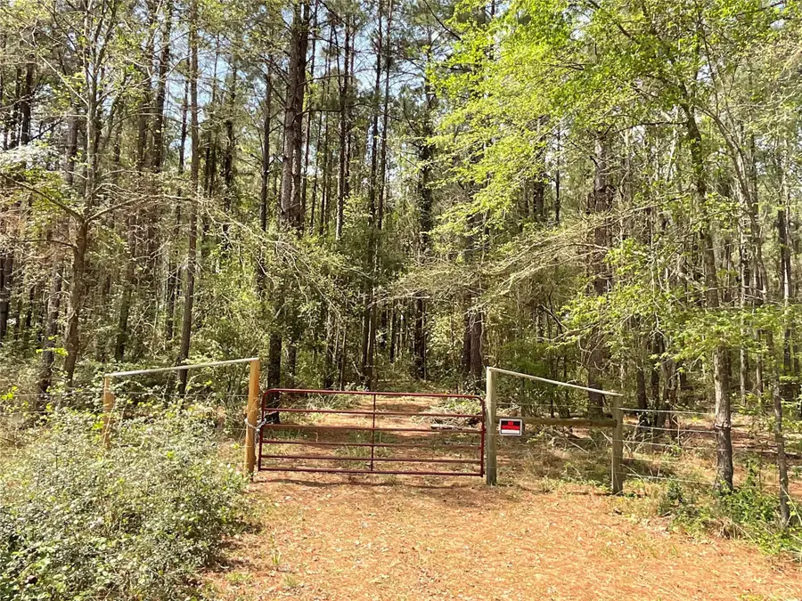 Lot 2B & 2C Fuller Springs Drive, Lufkin, TX 75901 - #2