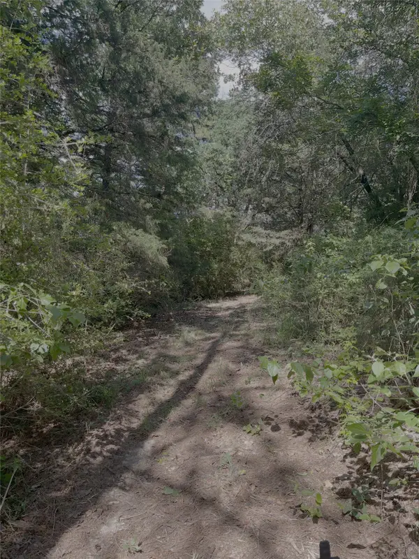 0 County Road 1208, Grapeland, TX 75844