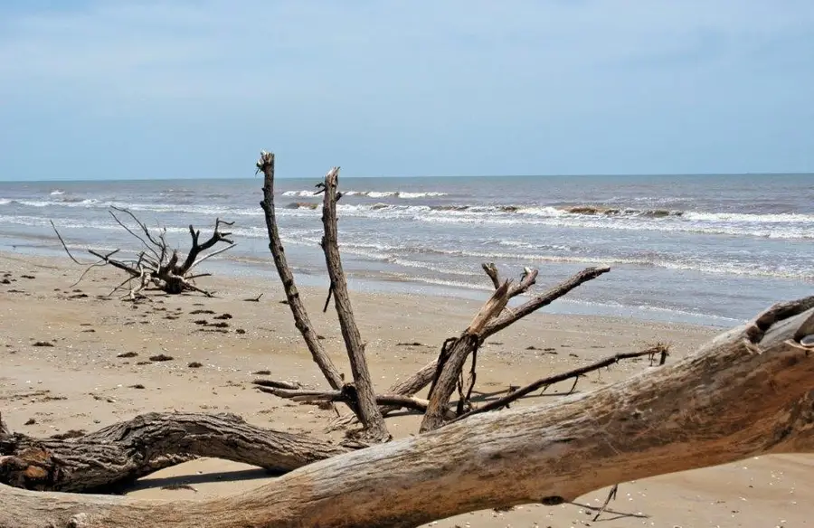 6337 & 6338 Blue Water, Sargent, TX 77414 - #3