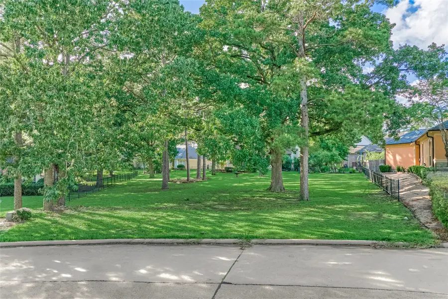 161 Bent Tree Lane, Montgomery, TX 77356 - #2