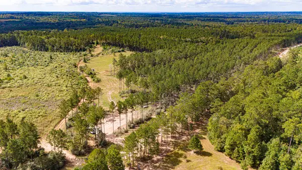 000 Oakdale Loop, Livingston, TX 77351