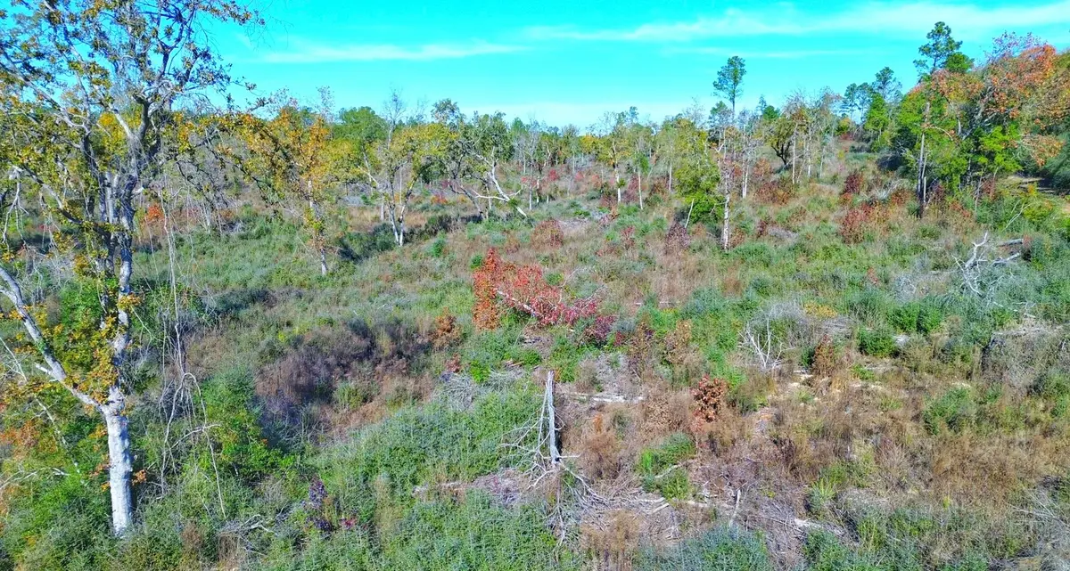 TBD Fm 2022, Grapeland, TX 75844 - Image #1