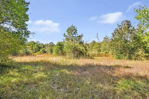 1224 Plum Pudding Road, Livingston, TX 77351