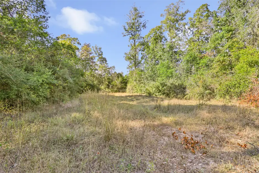 1224 Plum Pudding Road, Livingston, TX 77351 - Image #2