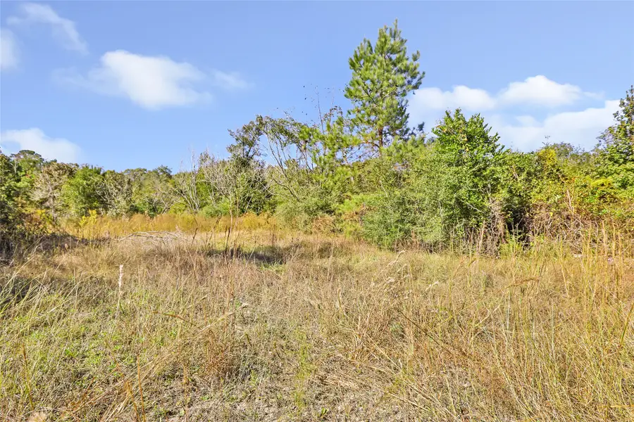 1224 Plum Pudding Road, Livingston, TX 77351 - Image #3