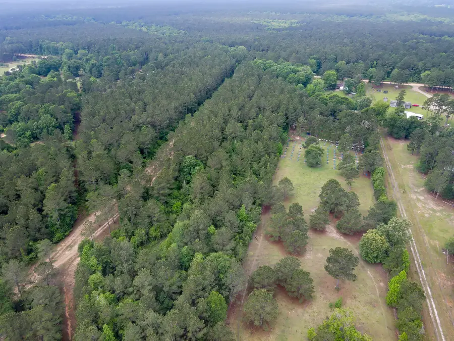 0 County Line Rd Road, Shepherd, TX 77371 - #3