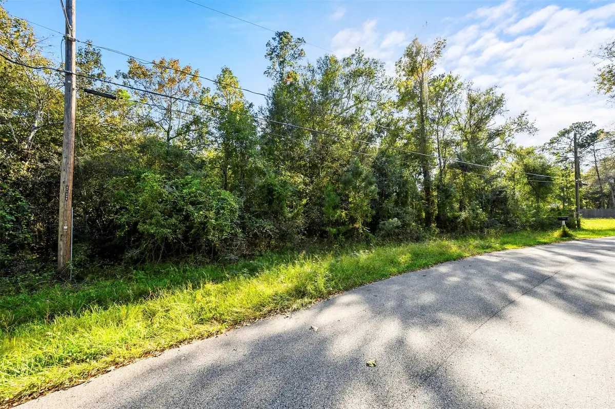 1407 Black Bear Drive, Crosby, TX 77532 - #1