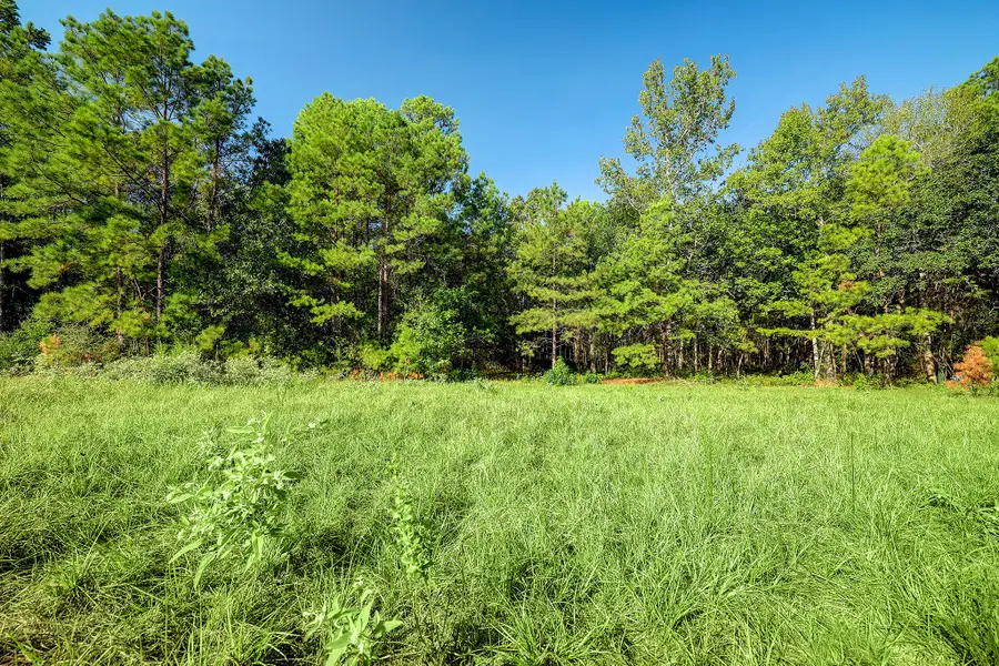 189 Rim Rock Road, Huntsville, TX 77340 - #2