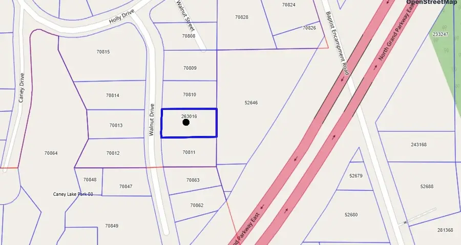 21117 Walnut Drive, New Caney, TX 77357 - Image #3