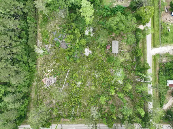 0 Leona Lane, Shepherd, TX 77371