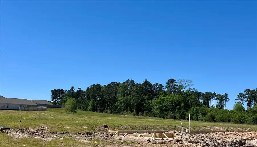 40688 Mostyn Lake Drive, Magnolia, TX 77354 - #3