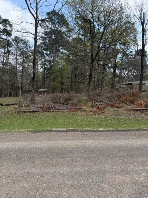 Lot 213 Dogwood Drive, Trinity, TX 75862 - #3