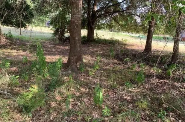6 & 8 Wild Iris Court, Huntsville, TX 77340 - #2