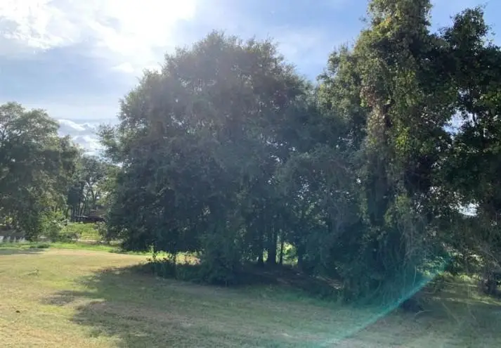 6 & 8 Wild Iris Court, Huntsville, TX 77340 - #3