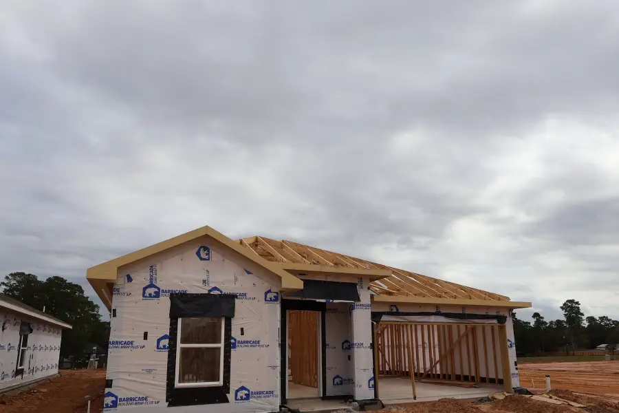 30598 Johnson Alley, Magnolia, TX 77355 - #3