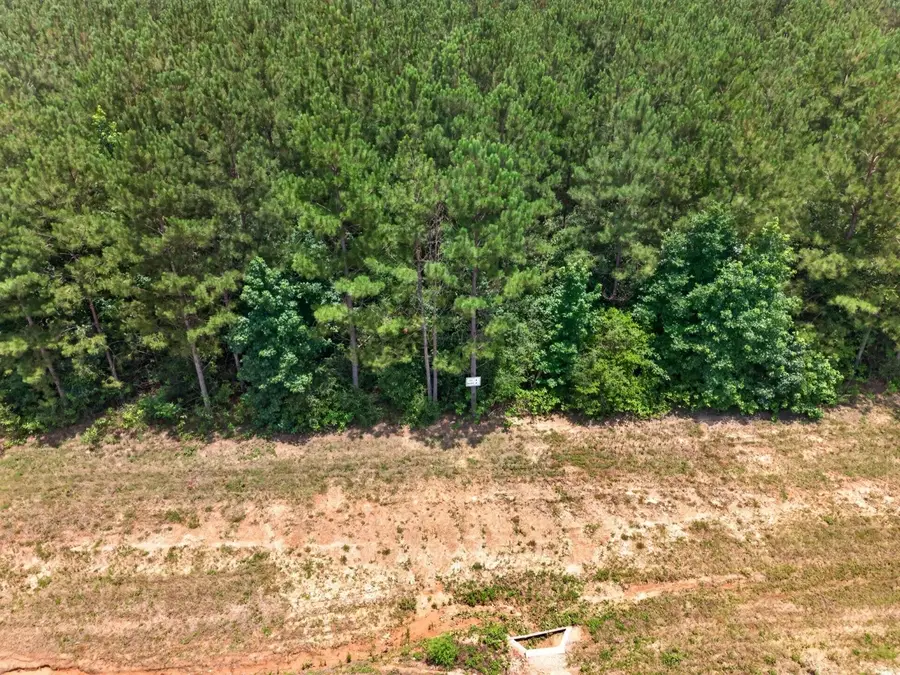 15244 Rubicon Road, Willis, TX 77378 - #3