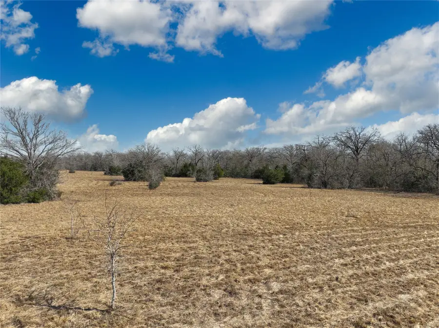 12599 Fm 2620, Bedias, TX 77831 - #3