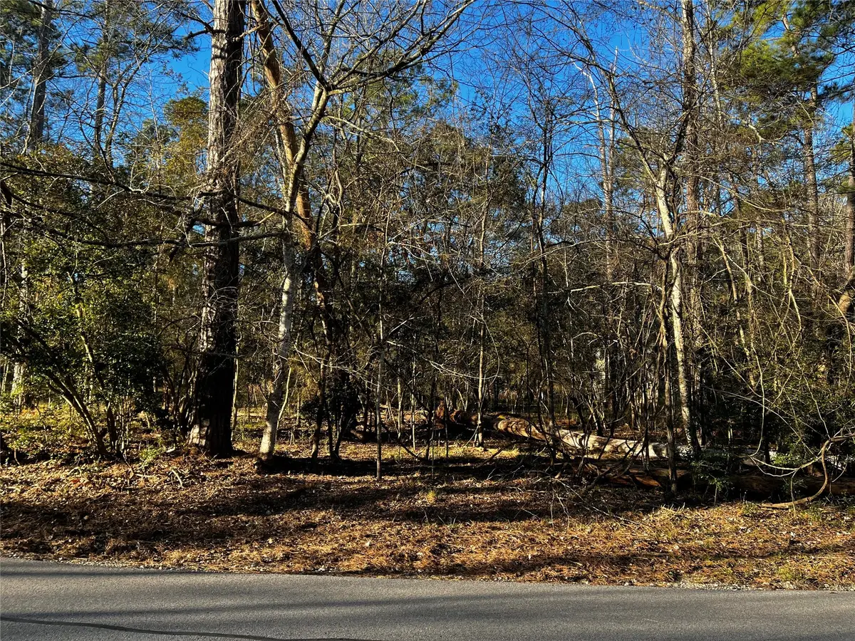 172 N Fairway Loop, Coldspring, TX 77331 - #1