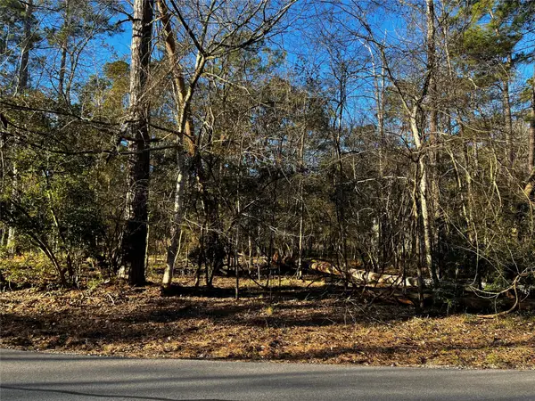 172 N Fairway Loop, Coldspring, TX 77331